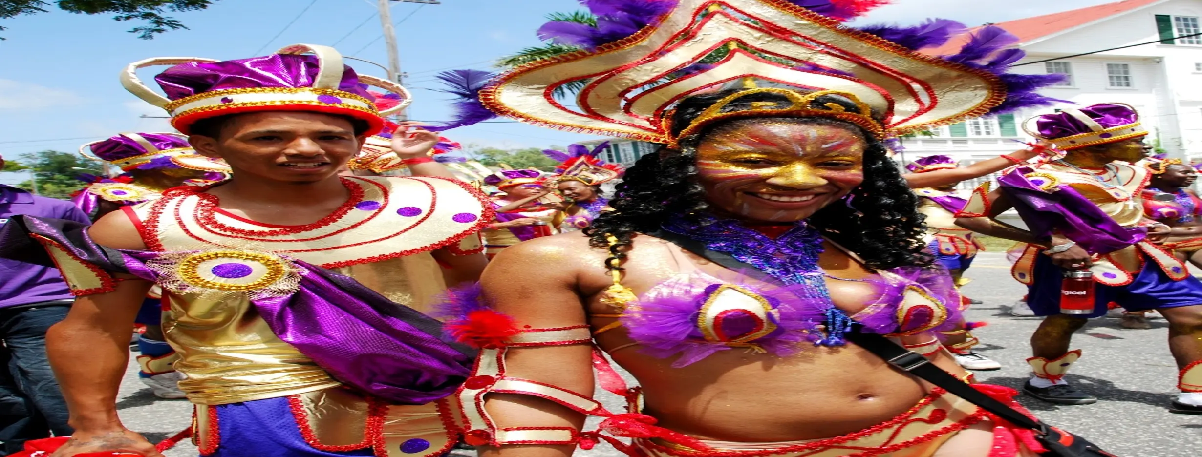 Image for Cultural Mosaic